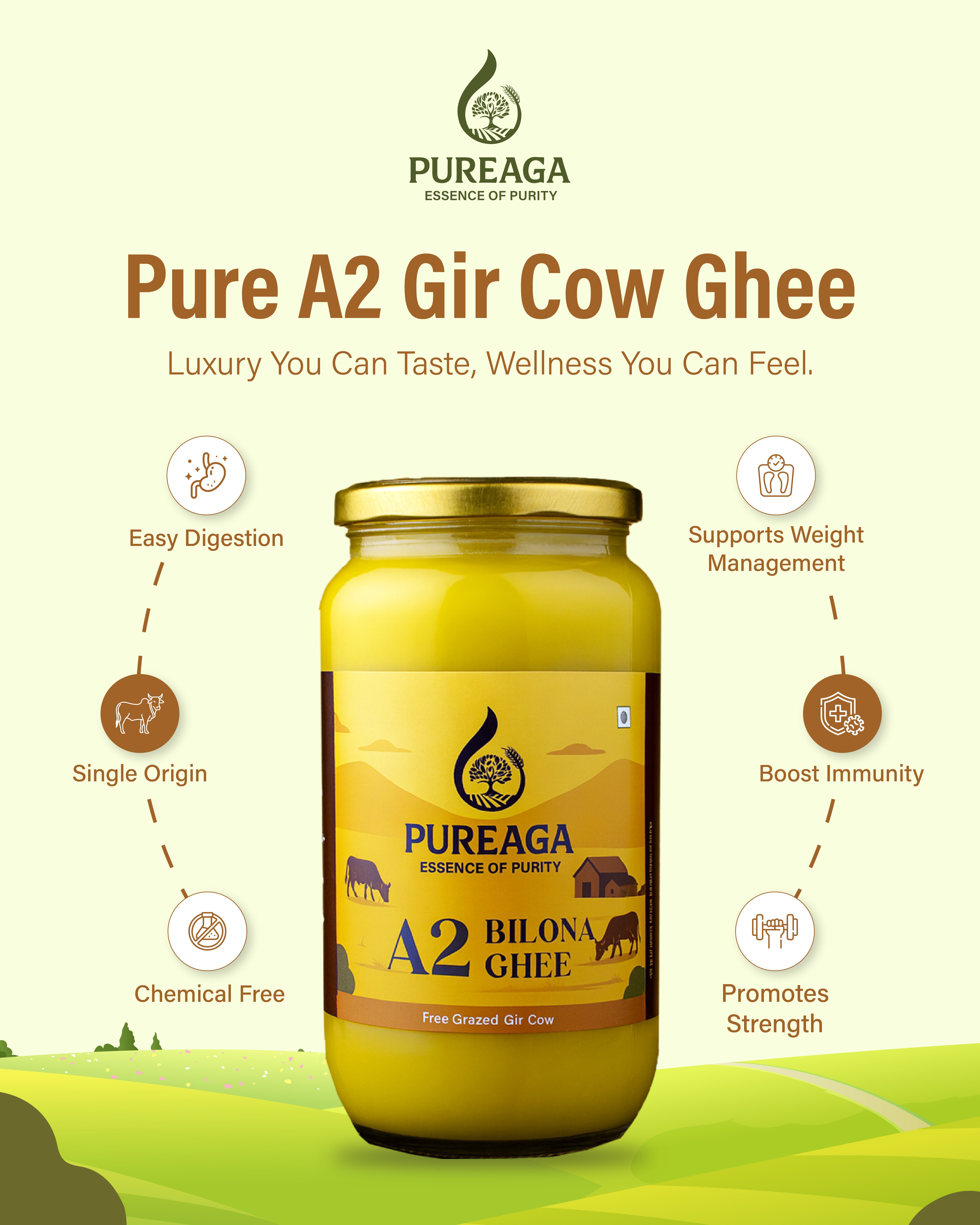 A2 Gir Cow Ghee - Made from Curd